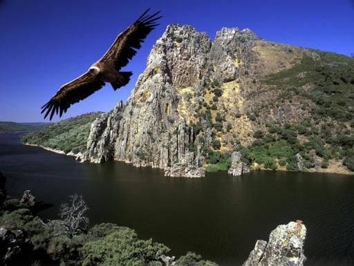 Posada El Arriero Torrejon el Rubio Bagian luar foto